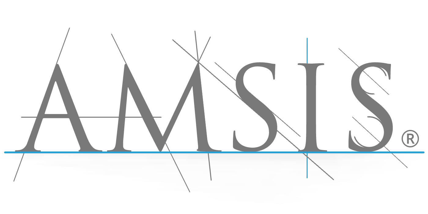 AMSIS S.r.l. Logo